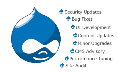 Drupal Website Maintenance and Support